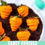 candy coated Easter strawberries on crushed Oreos to resemble a carrot patch