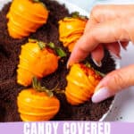 candy coated Easter strawberries on crushed Oreos to resemble a carrot patch