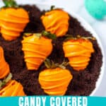 candy coated Easter strawberries on crushed Oreos to resemble a carrot patch