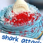 shark attack cupcake pin image