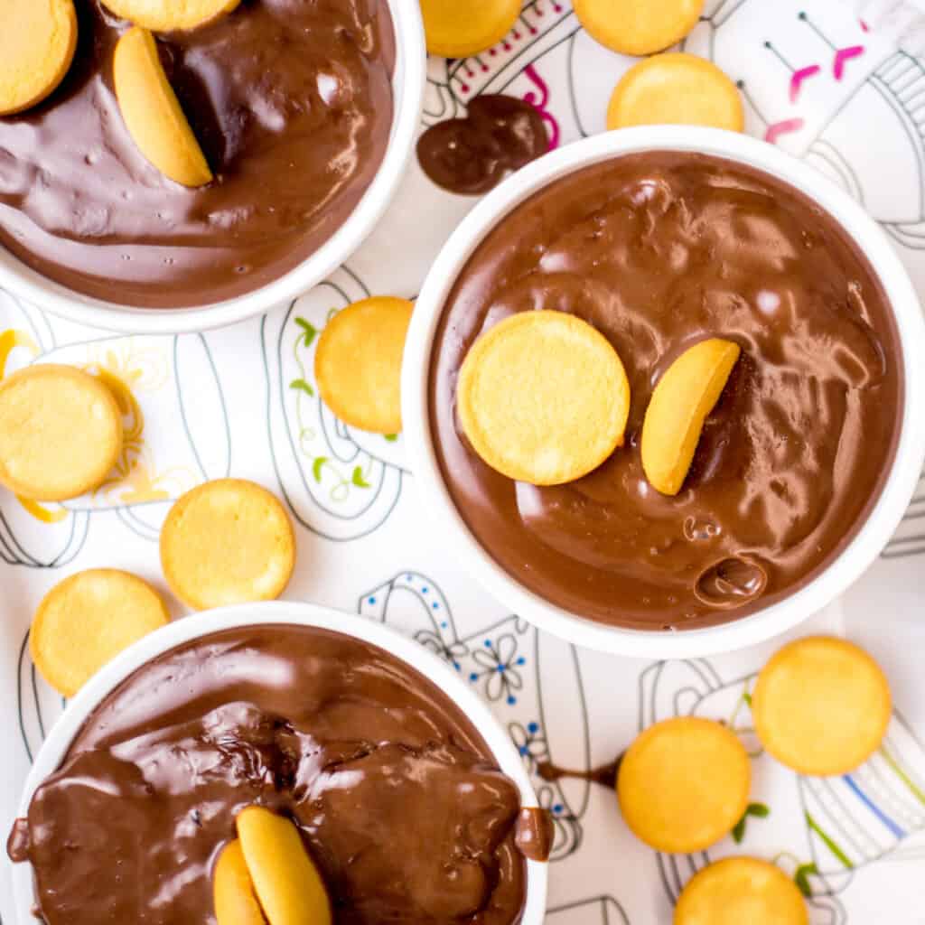 Chocolate Almond Milk Pudding Easy, 7 Ingredient Recipe!