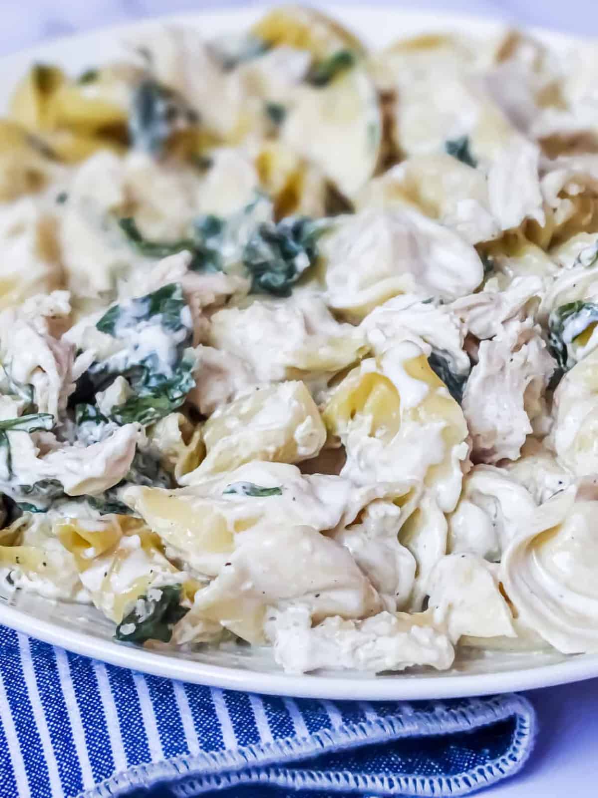 close up of chicken pasta casserole with spinach 