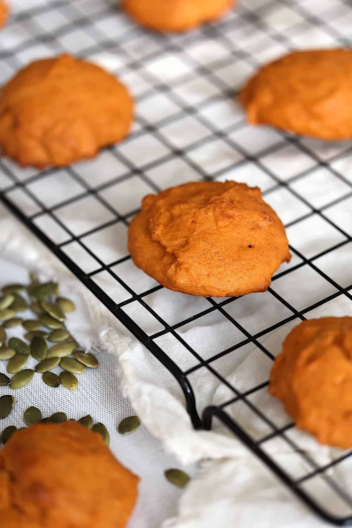 close up of a chewy pumpkin cookie