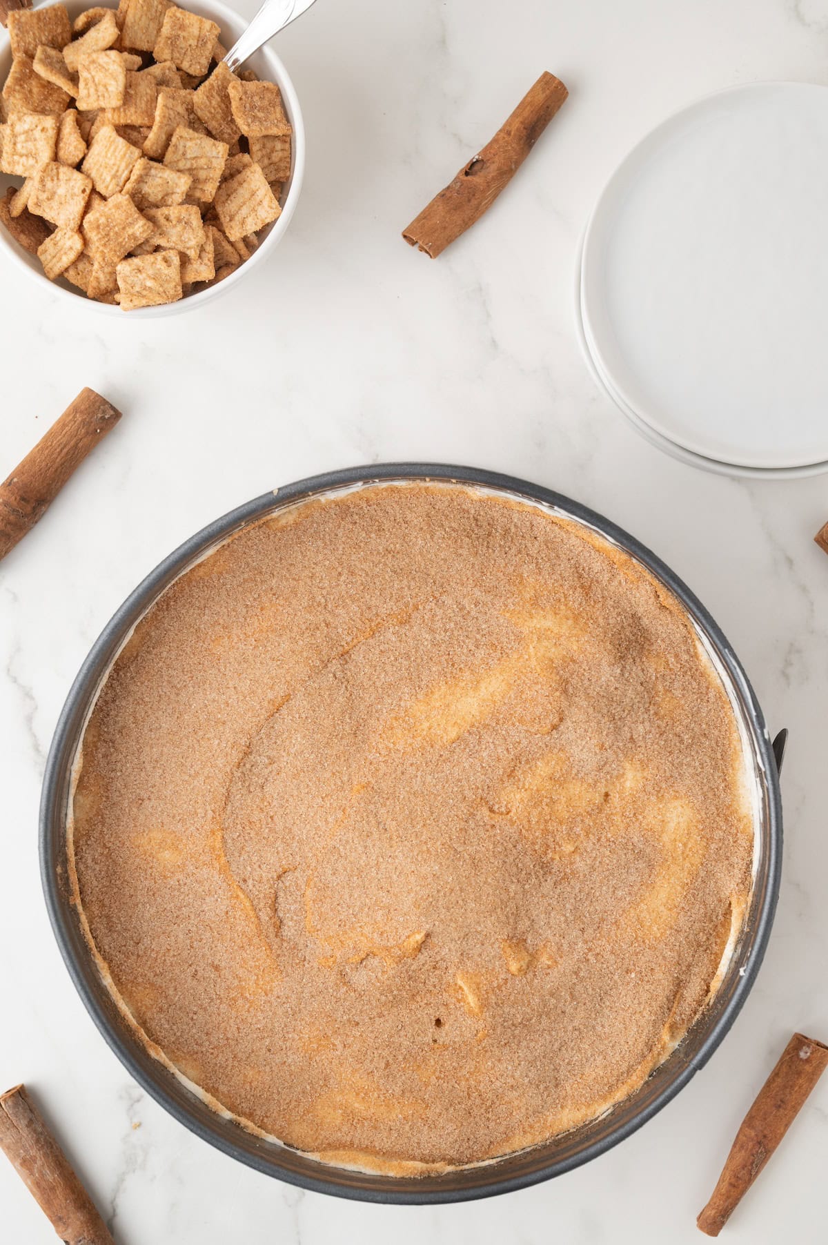 cinnamon sugar mix on top of cheesecake filling in a springform pan