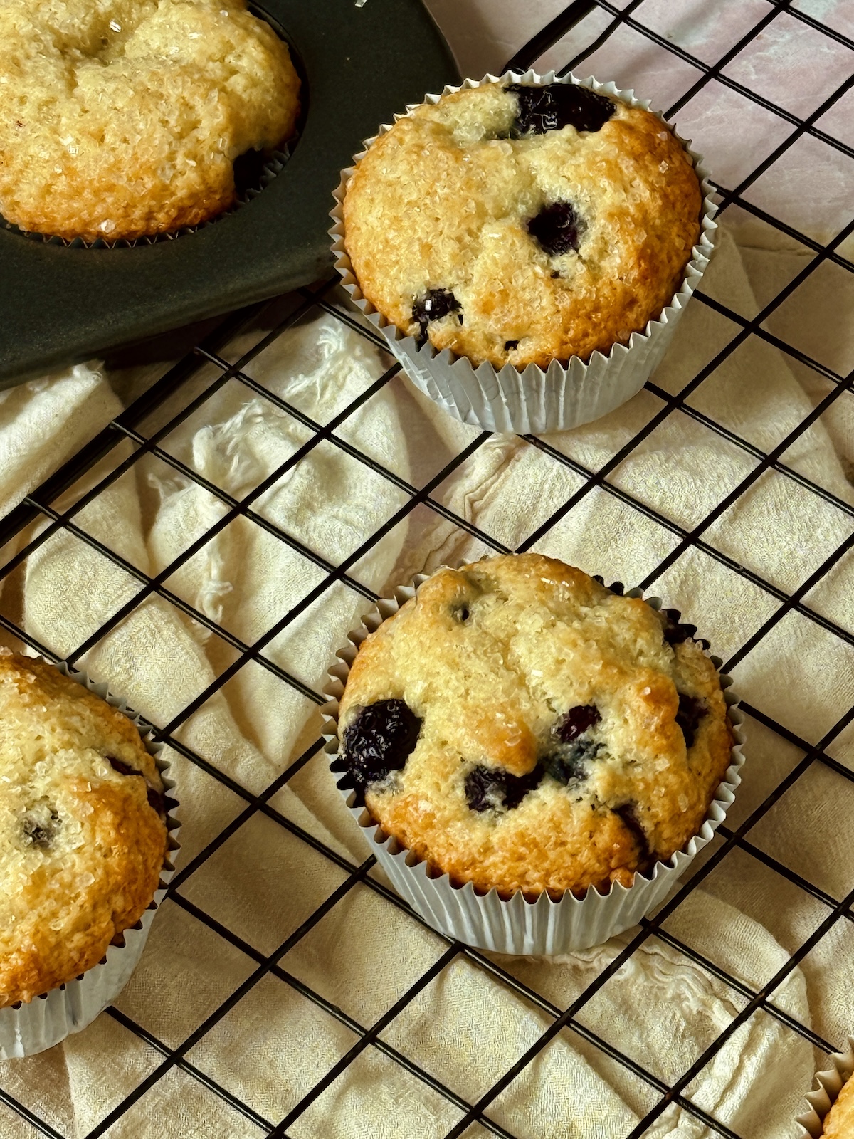 blueberry muffins in a baking pan