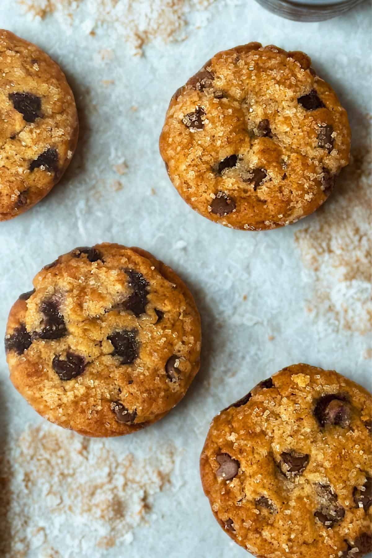 blueberry and chocolate chip muffins on a serving counter