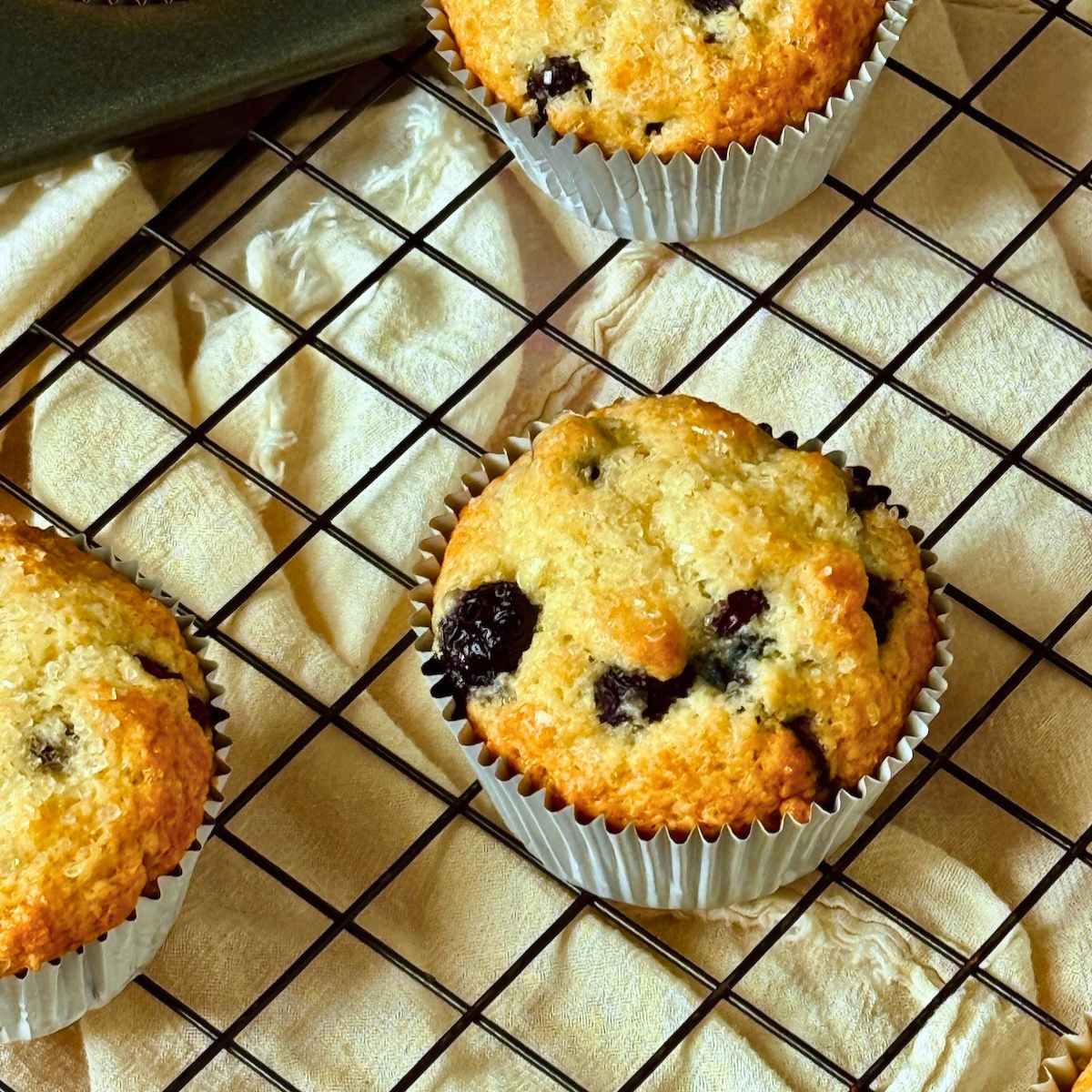 blueberry muffins on a cooling rack