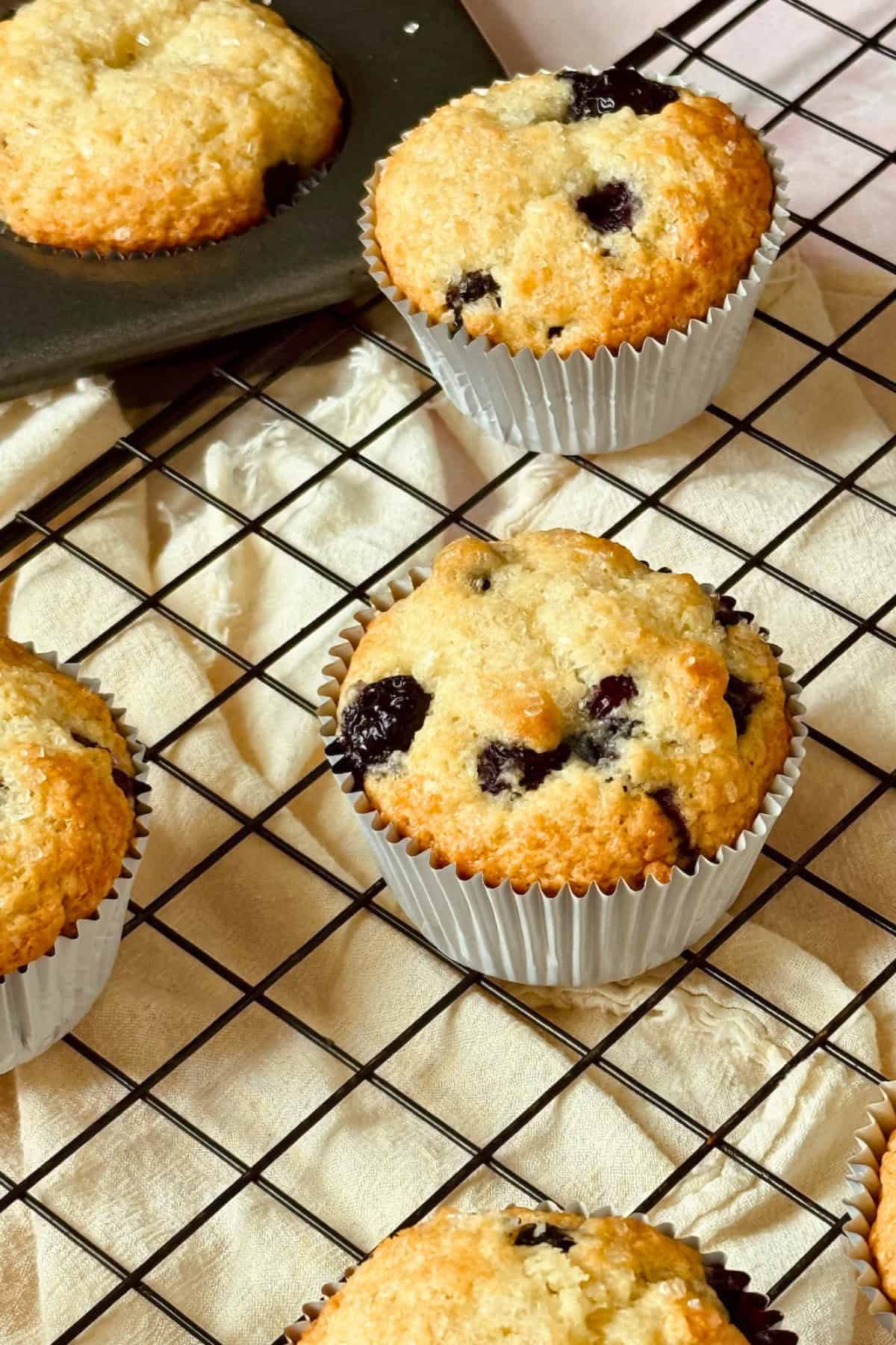 blueberry muffins on a cooling rack