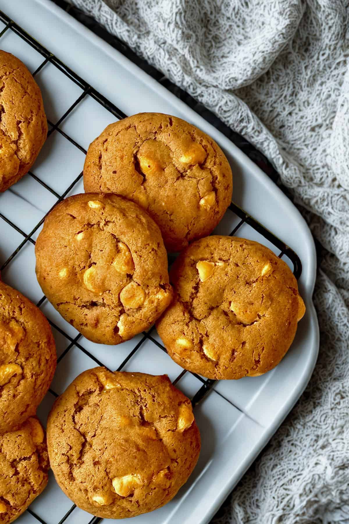 butterscotch cookies on a cooling rack